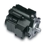 PAKER PV032 R1K1T1NMMC Piston Pump